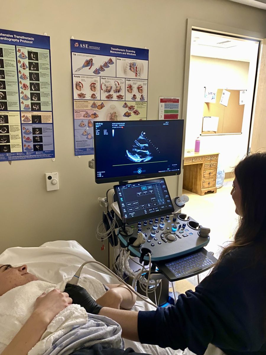 Cardiac Ultrasound - Volunteers